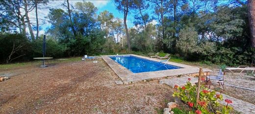 Sencelles, Illes Balearsのカントリー風またはファームハウス