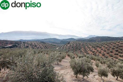 전원/농가 / Loja, Provincia de Granada