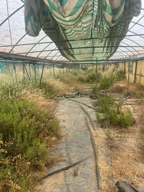 Terreno a la Nucia, Provincia de Alicante