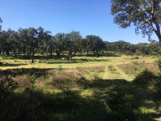 Arsa Palmela, Distrito de Setúbal