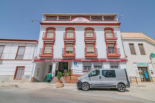 Hotel in Cortes, Granada