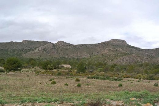 Terrain à Yecla, Province de Murcie