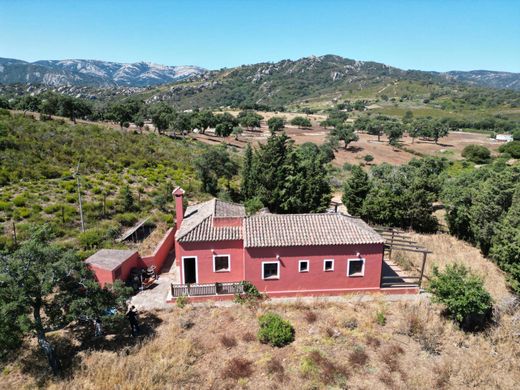 Αγροτεμάχιο σε Los Barrios, Provincia de Cádiz