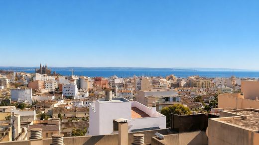 Apartment / Etagenwohnung in Palma de Mallorca, Balearen Inseln
