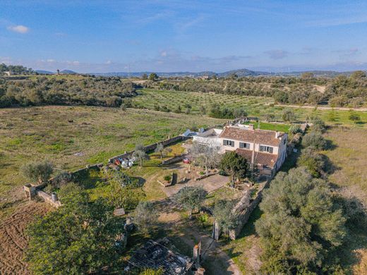 Rural or Farmhouse in Sineu, Province of Balearic Islands