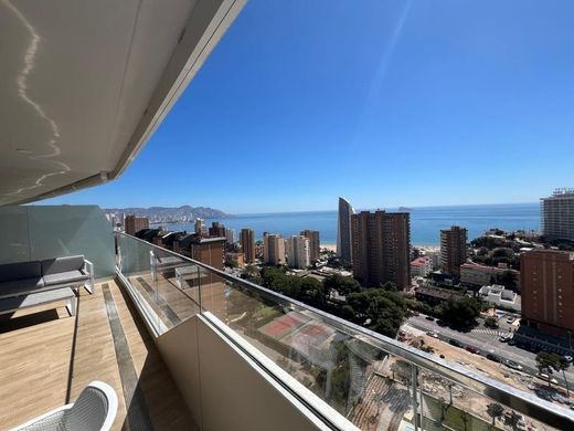 Apartment in Benidorm, Alicante