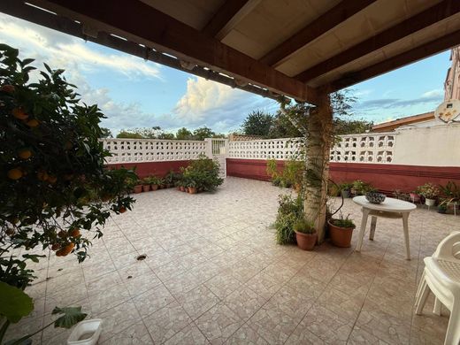 Calvià, Illes Balearsのアパートメント