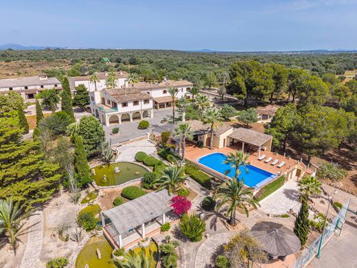 Rural or Farmhouse in Santanyí, Province of Balearic Islands