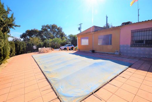 Lüks ev Guardamar del Segura, Provincia de Alicante