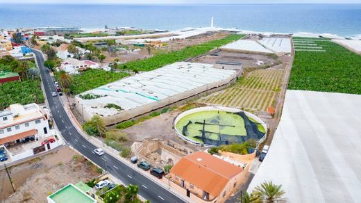 Land in San Cristóbal de La Laguna, Province of Santa Cruz de Tenerife