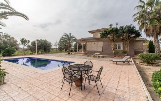 Detached House in Elche, Province of Alicante