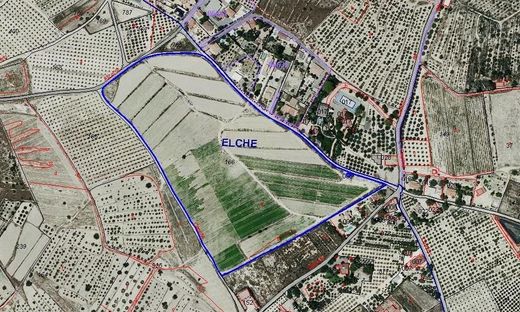 Terreno a Elx, Provincia de Alicante