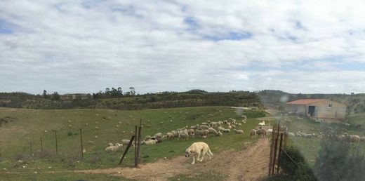 村舍/农舍  Valverde del Camino, Provincia de Huelva