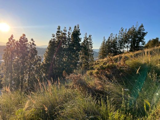 Arsa Malaga, Provincia de Málaga