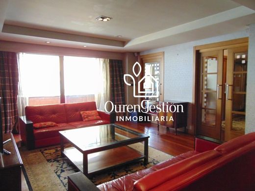 Apartment / Etagenwohnung in Ourense, Galicien