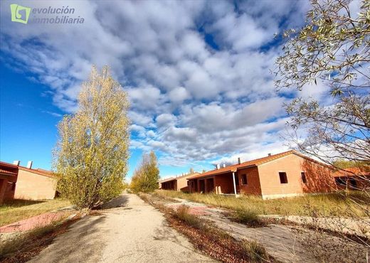 토지 / Lerma, Provincia de Burgos