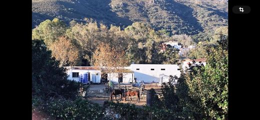 Rural ou fazenda - Algeciras, Provincia de Cádiz