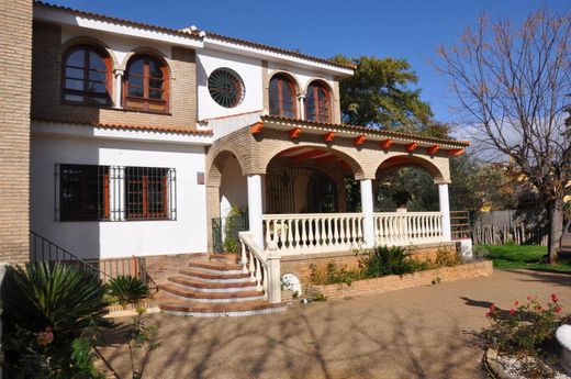 Detached House in Palomares del Río, Province of Seville