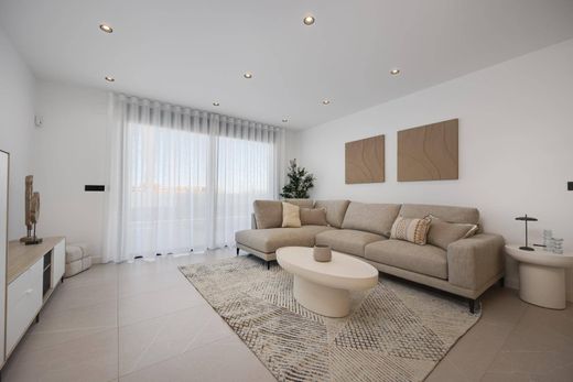 Detached House in Torrevieja, Alicante
