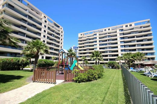 Apartment in Torrevieja, Alicante