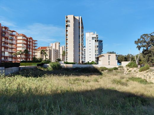 Land in Guardamar del Segura, Alicante