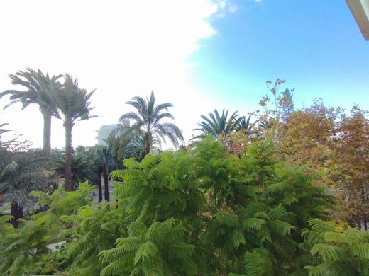 Daire Alicante, Provincia de Alicante