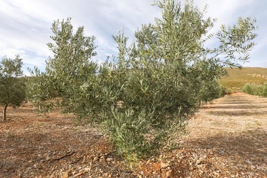 Grond in Cozvíjar, Provincia de Granada