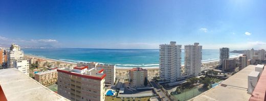 Apartment in Alicante, Valencia