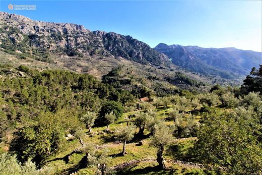 Усадьба / Сельский дом, Fornalutx, Illes Balears