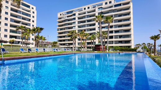 Apartment in Torrevieja, Alicante