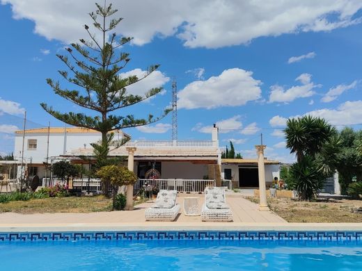 Rustykalny lub Wiejski w Los Montesinos, Provincia de Alicante
