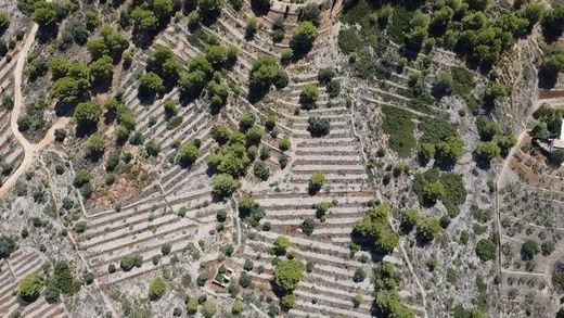 地皮  Benissa, Provincia de Alicante