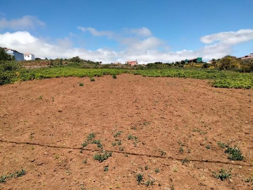 Αγροτεμάχιο σε La Laguna, Provincia de Santa Cruz de Tenerife