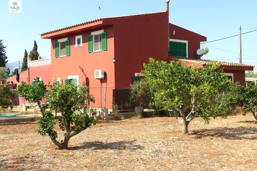 Binissalem, Illes Balearsのカントリー風またはファームハウス