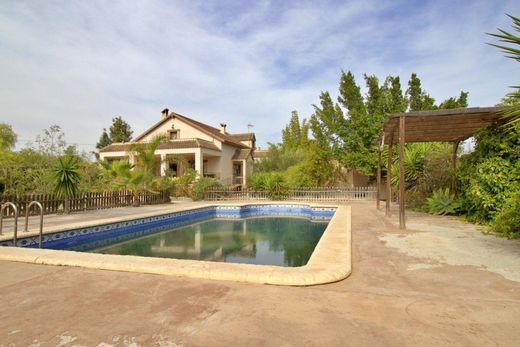 Einfamilienhaus in Elx, Alicante