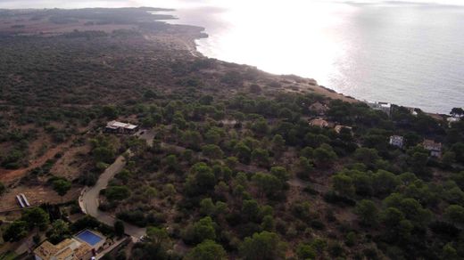 Llucmajor, Illes Balearsの土地