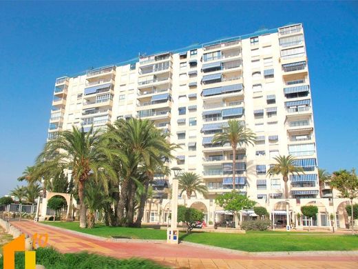 Apartment in El Campello, Alicante