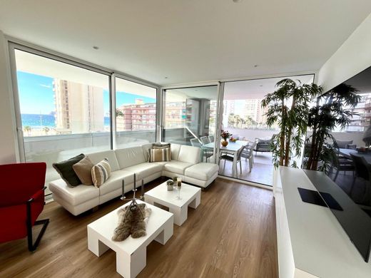 Apartment in Benidorm, Alicante