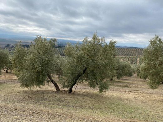 Αγροτεμάχιο σε Trasmulas, Provincia de Granada