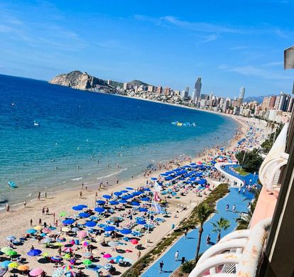 Apartment in Benidorm, Alicante