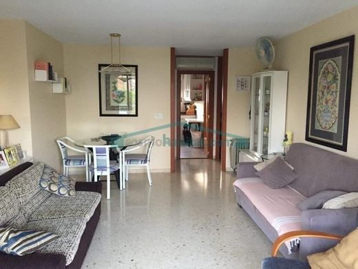 Daire Benidorm, Provincia de Alicante