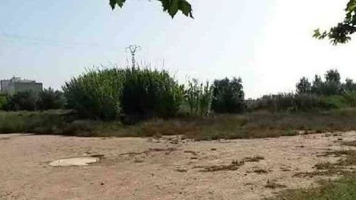 Arsa Sueca, Província de València