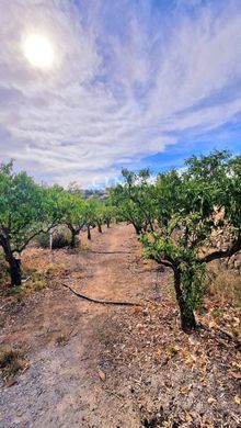 Rustykalny lub Wiejski w la Nucia, Provincia de Alicante