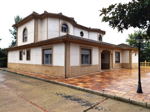 Detached House in Cordova, Province of Córdoba