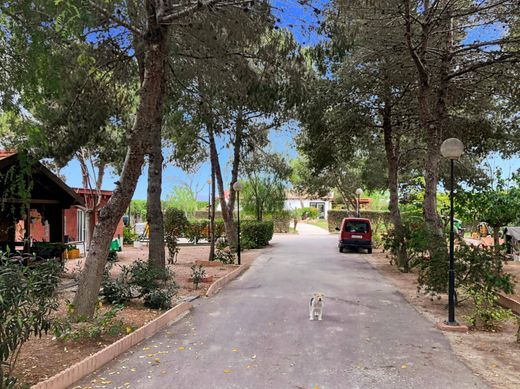 Rural or Farmhouse in Dolores, Alicante