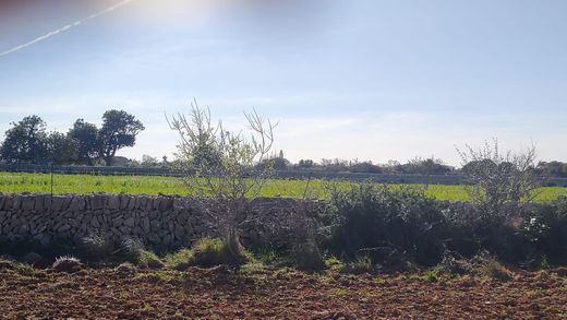 Terreno en Santanyí, Islas Baleares