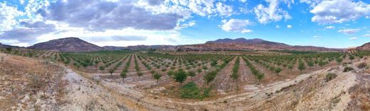 Land in Fonelas, Granada