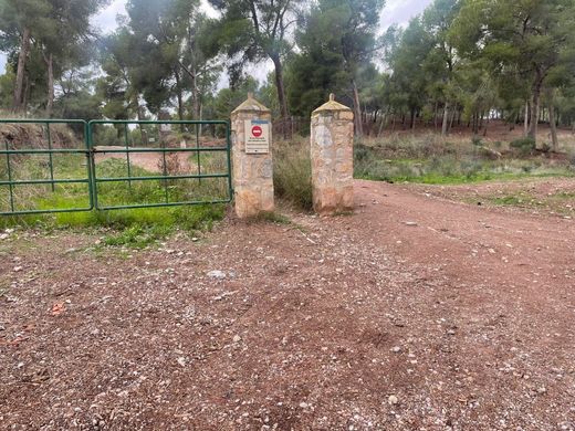 Teren w Murcja, Murcia