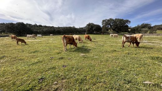 Усадьба / Сельский дом, Aroche, Provincia de Huelva