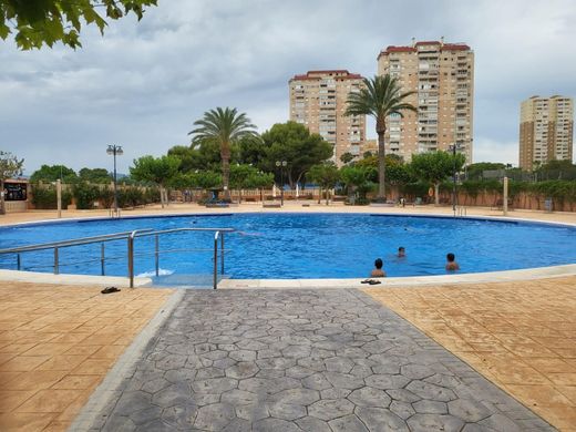 Apartment in El Campello, Alicante
